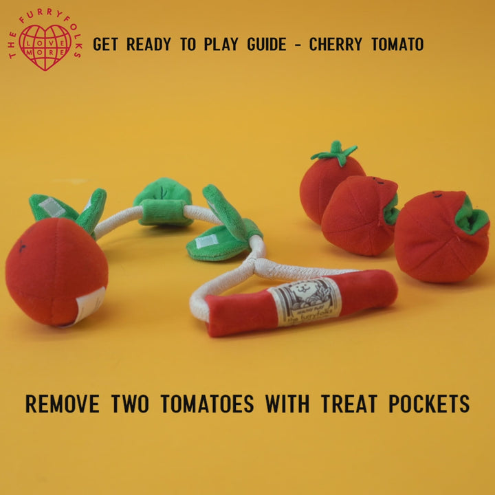 Cherry Tomato Toy